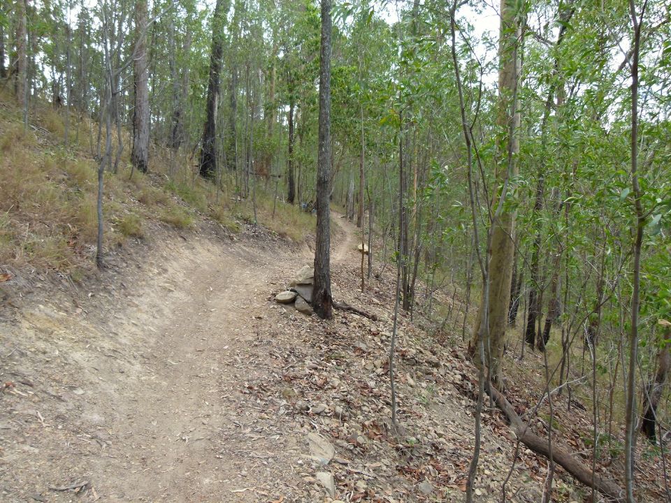 P1130461 (1).jpg